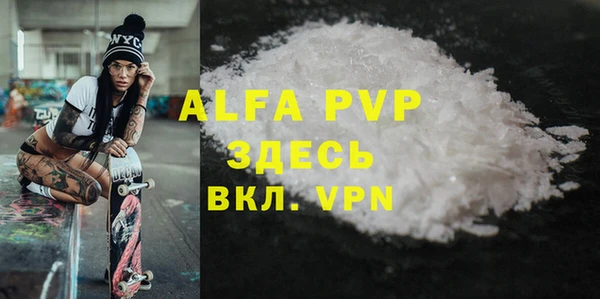 индика Осинники