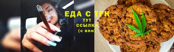 индика Осинники