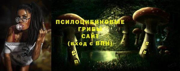 индика Осинники