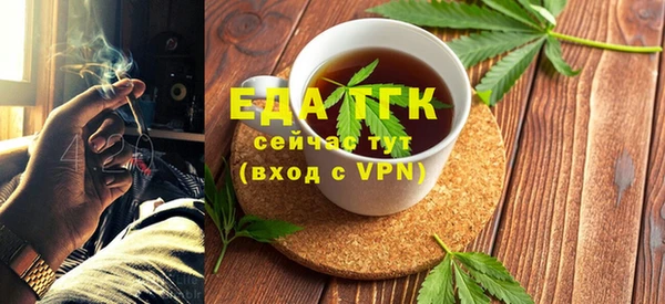 индика Осинники
