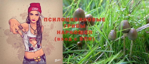 индика Осинники