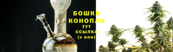 индика Осинники