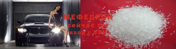индика Осинники