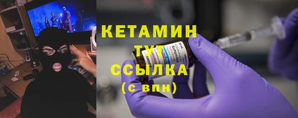 индика Осинники