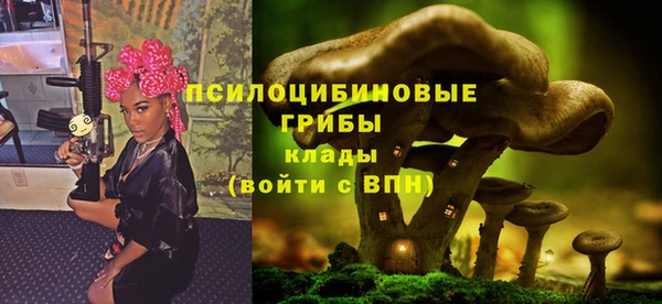 герыч Осташков