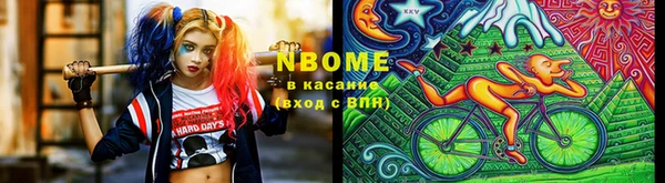 индика Осинники