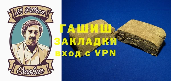 индика Осинники