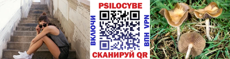 Галлюциногенные грибы мухоморы  Починок 